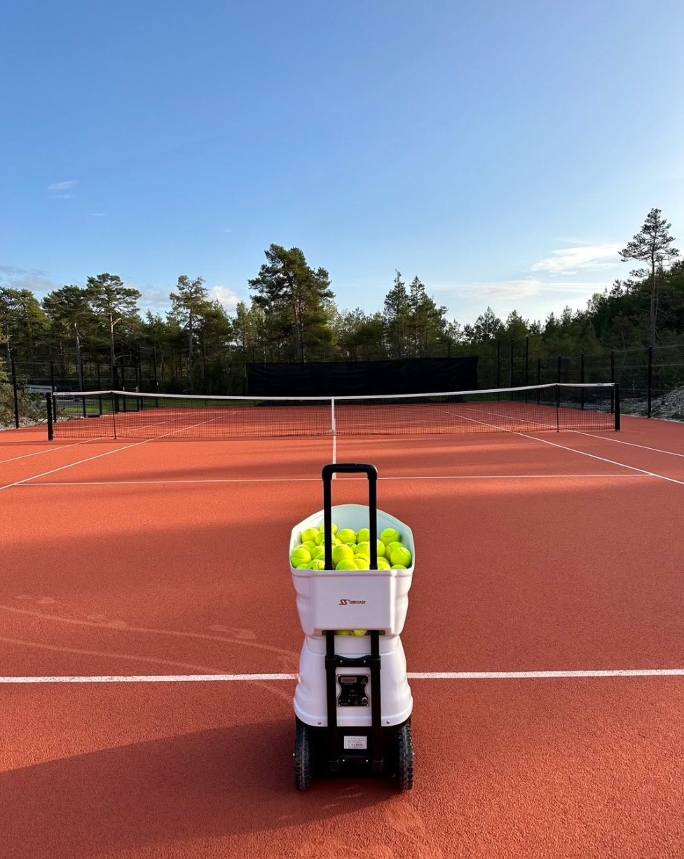 Tenniseväljak pallimaisnga ja männimetsaga Haapsalus
